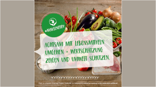 Lebensmittelabfallvermeidung Handlungstipps
