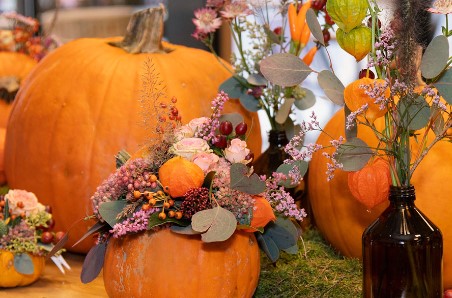 Knödelaktion beim PurNatur Herbstfest  – Gemeinsam Lebensmittel retten